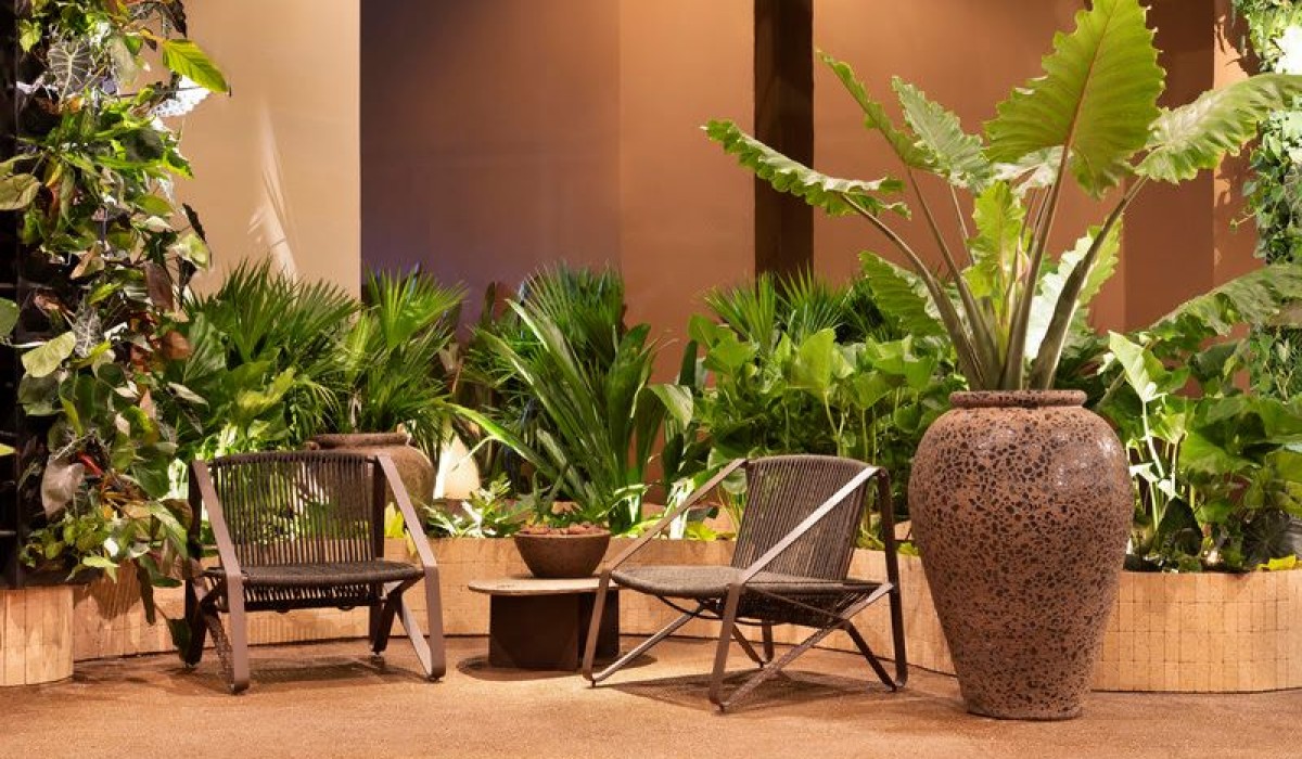 Iluminação fotossintética é uma solução para cultivar plantas em ambientes internos