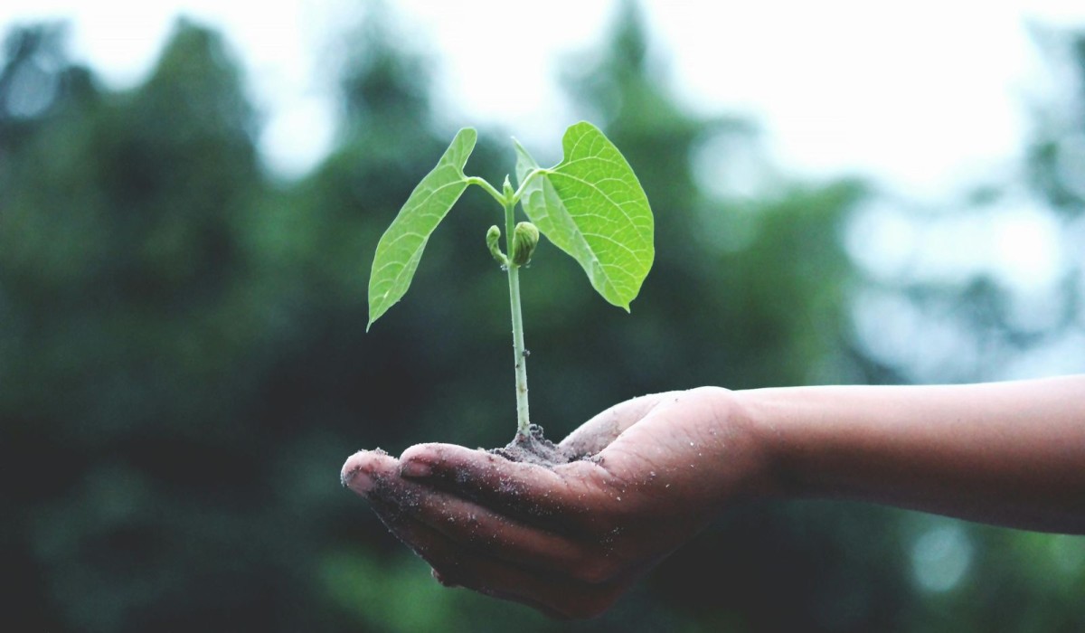 Sustentabilidade será destaque na Movelpar 2025