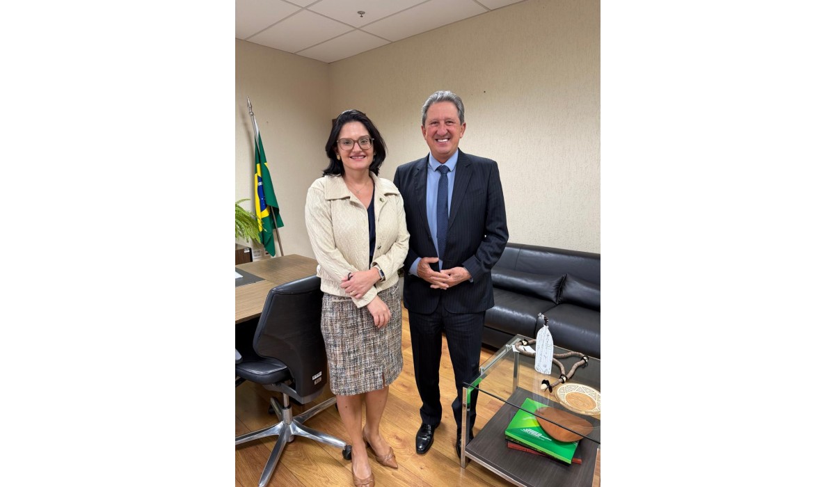 Presidente da ABIMÓVEL se reúne com secretária de comércio exterior em Brasília Durante agenda institucional em Brasília (DF)